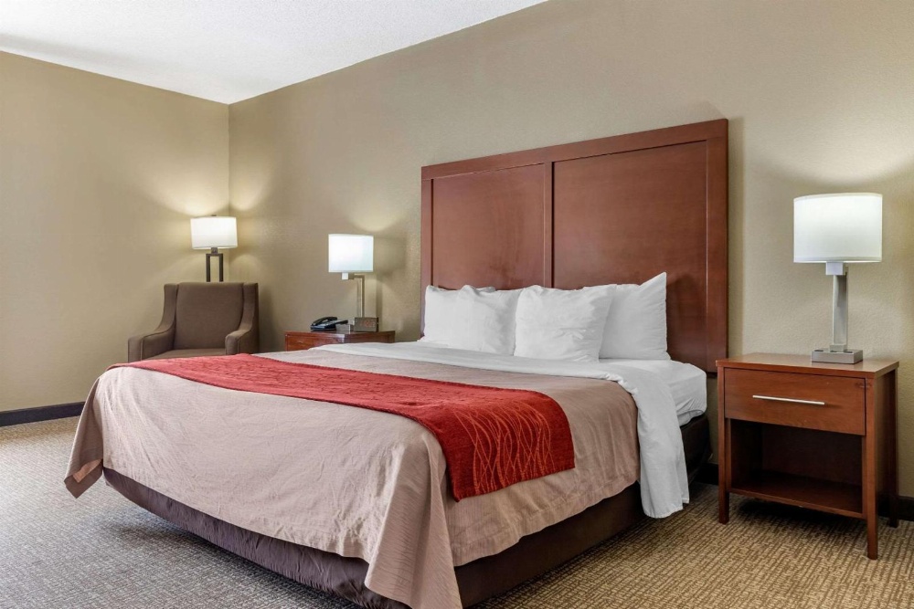 Efficiency King Suite with Sofa Bed - Non Smoking