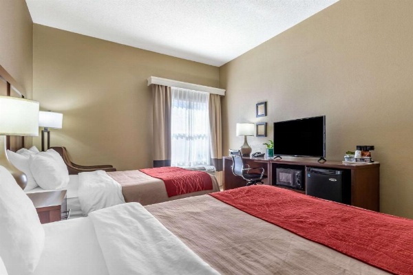 Comfort Inn Blythewood - North Columbia image 11