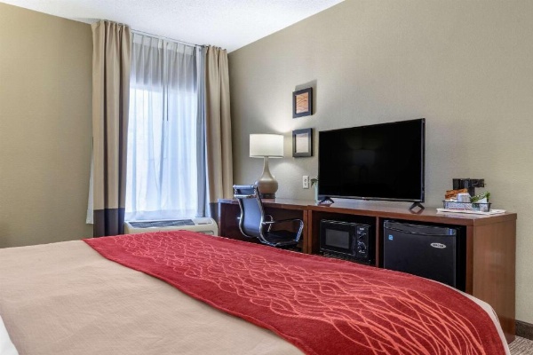 Comfort Inn Blythewood - North Columbia image 16